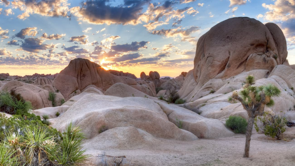 30 Best National Parks to Visit in the U.S. for 2025