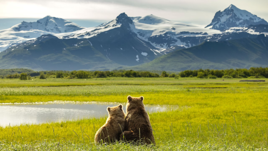 30 Best National Parks to Visit in the U.S. for 2025